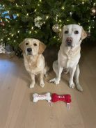 f2e44bc81fb116a1f7df3db91e91ee26_138x184_fill