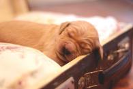 f30ec34d085b67d485c11ca64b5147cb_195x130_fill