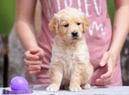 f367ed258487820f068d2b95cf62e752_187