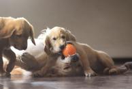 f380ae349bda1034bd5087dc3724dcc9_194