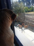 f3cc559f2f231ef227a8a87e016a27cd_138x184_fill