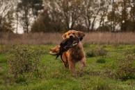 f40d5520364377a3444a1415df62ae52_194