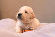 f4dbf2344d818d4ae40fa13b899072a6_194