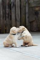 f5bf6002627b64388c046028ac5b542c_130x195