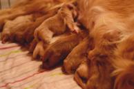 f5dc9601a4c3426f29c09db67bcab7c8_194