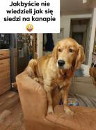 f610a2ae3f815ea9e6884ffd2c14e7a9_138x185