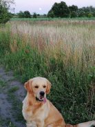 f61ecc13d0c7a907b3aa056be39d7d85_138x184_fill