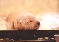 f6a7f9f6af59660e54c17ee89a8a8448_190