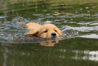 f6ac990245a0592beefbaab3dcd008e9_194