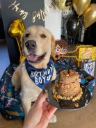 f6acde250529bb19984c84a8ab47d60c_138x184_fill