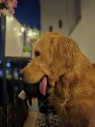 f6adf573cac8c28cd9d6e21332353ef0_138x184_fill