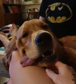 f6c6b29ec0af543fbf8717637f14b30b_152x168