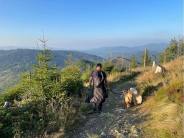 f6dc0f48b5824c30e518693c61ba07ae_184