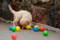 f71420e3276ffab3554b956bbe6b3e19_194