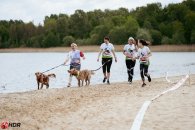 f7704676e43464d24f4043ff8c99336e_195