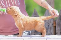 f808481d6b591ea539ce4a0567325f85_195