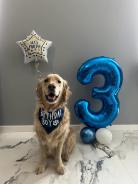 f80c428b8bf1a155a5219c7ca86f215b_138x184_fill