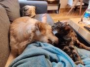 f8aea0af812b214c05dadb4f711ecd24_184x138_fill