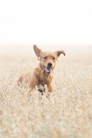 f998b9534c612b49aa71c4cca39ffea7_130x195