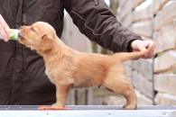 f9b11a25e9efee82e22865a958a3090b_195x130_fill