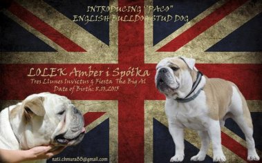 f9cba48ff3e104def9daf03fb05887d2_379