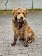 f9df4f2ad7eb7a7e2d9f155ba2fed9d9_138x184_fill