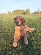 fa07d093e410982a0fcaebb3a6109b64_138x184