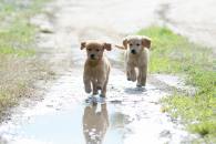 fa72c4b7af02db494f50a7a458b1ef14_195x130_fill