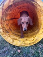 fac6e56f221daf530d362026f69b97b7_138x184_fill