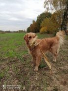 fb6591ed603a8e41ac9053c24a71ac53_138x184