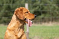 fbc34518b7a53df312219212ca191796_195