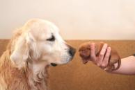 fcd3ac9b0639e3a28088b8d643e58a1b_194