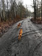 fd4012cd8cc551b2907c978825309e9a_138x184_fill