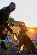 fd427e7ad22f63f88f78520fc213175d_130x194