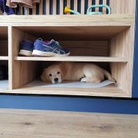 fdb7b34922781072c8a48cb2278fc641_200x200_fill