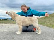 fea7604b484b02311e93f5a9bba96ca7_184