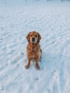 feb0df03b5a07bd16ca2ca3b3dfbe185_138x184_fill