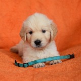 fefced1b66d41677a7116ca96066cedf_160x160_fill