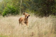 ff2b422f87e6097687b4908bd2455b16_195