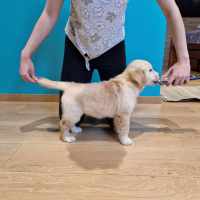 ff5a26a5b4209e19de1808c3af711b4e_200x200_fill