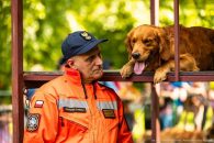 ff8671f876c15cb1499c46cc56f26d50_195x130_fill