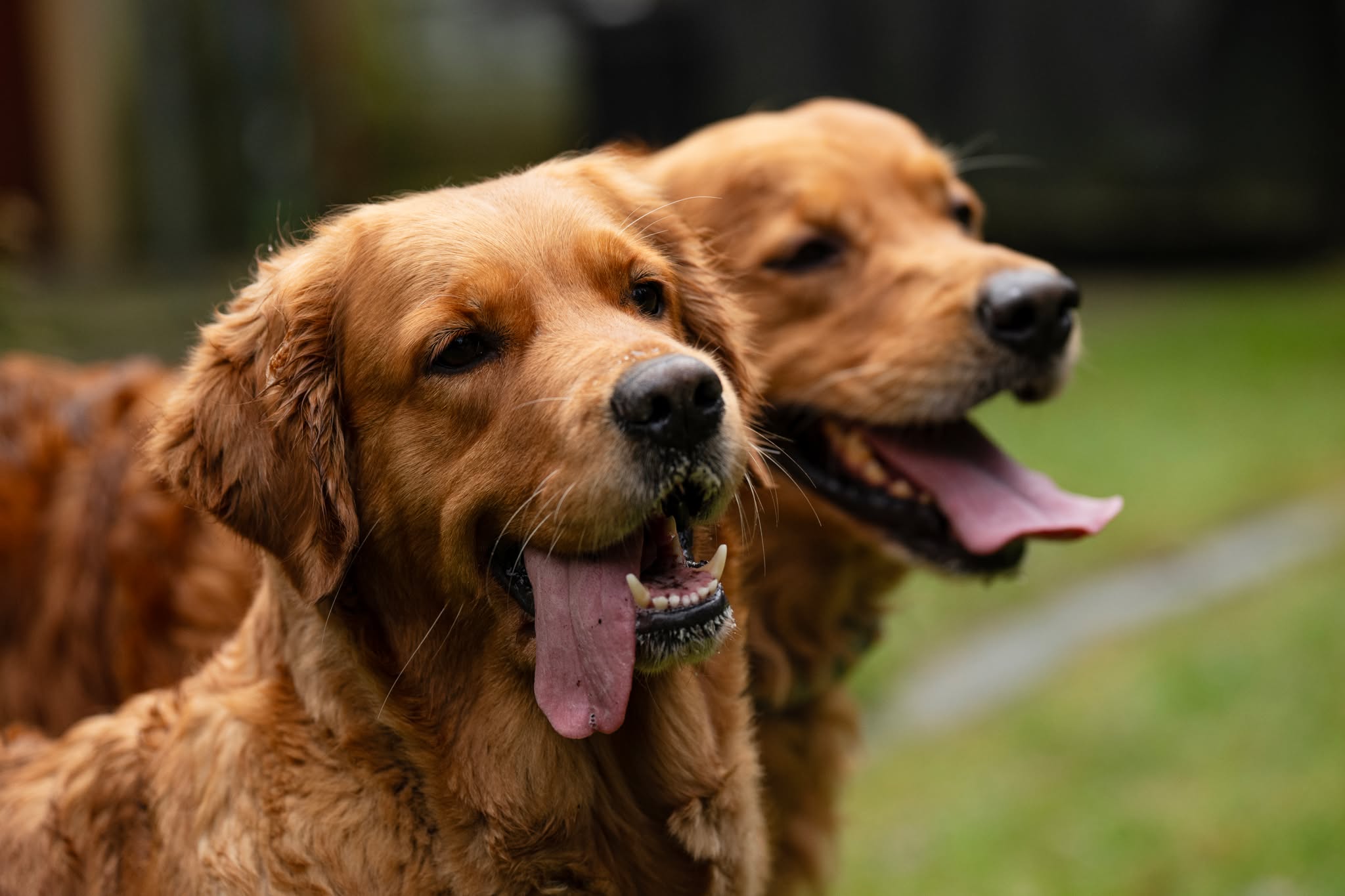 637505524_1343519791140939_7979583507506906617_n