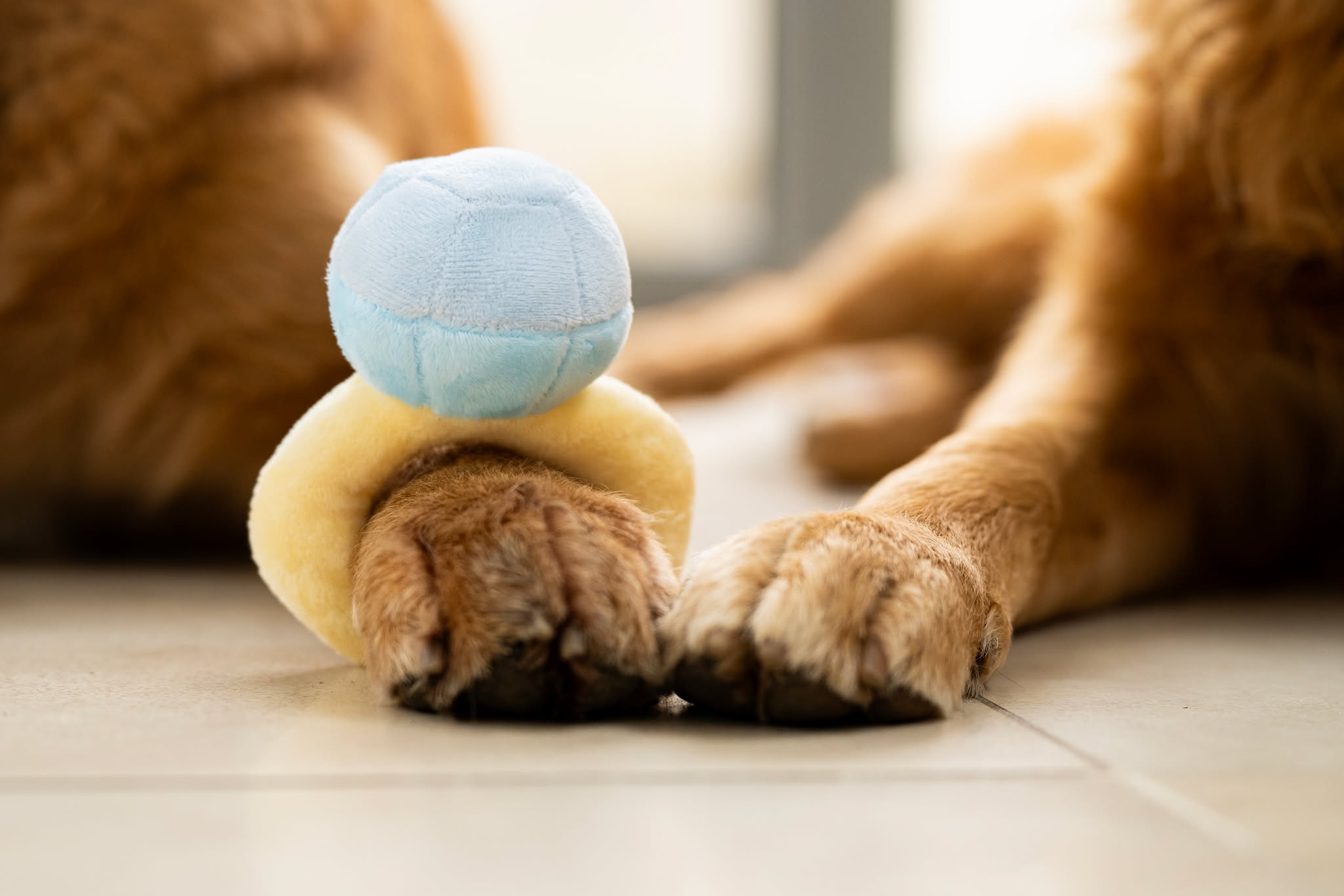 638085913_1343519594474292_5009622115992829254_n