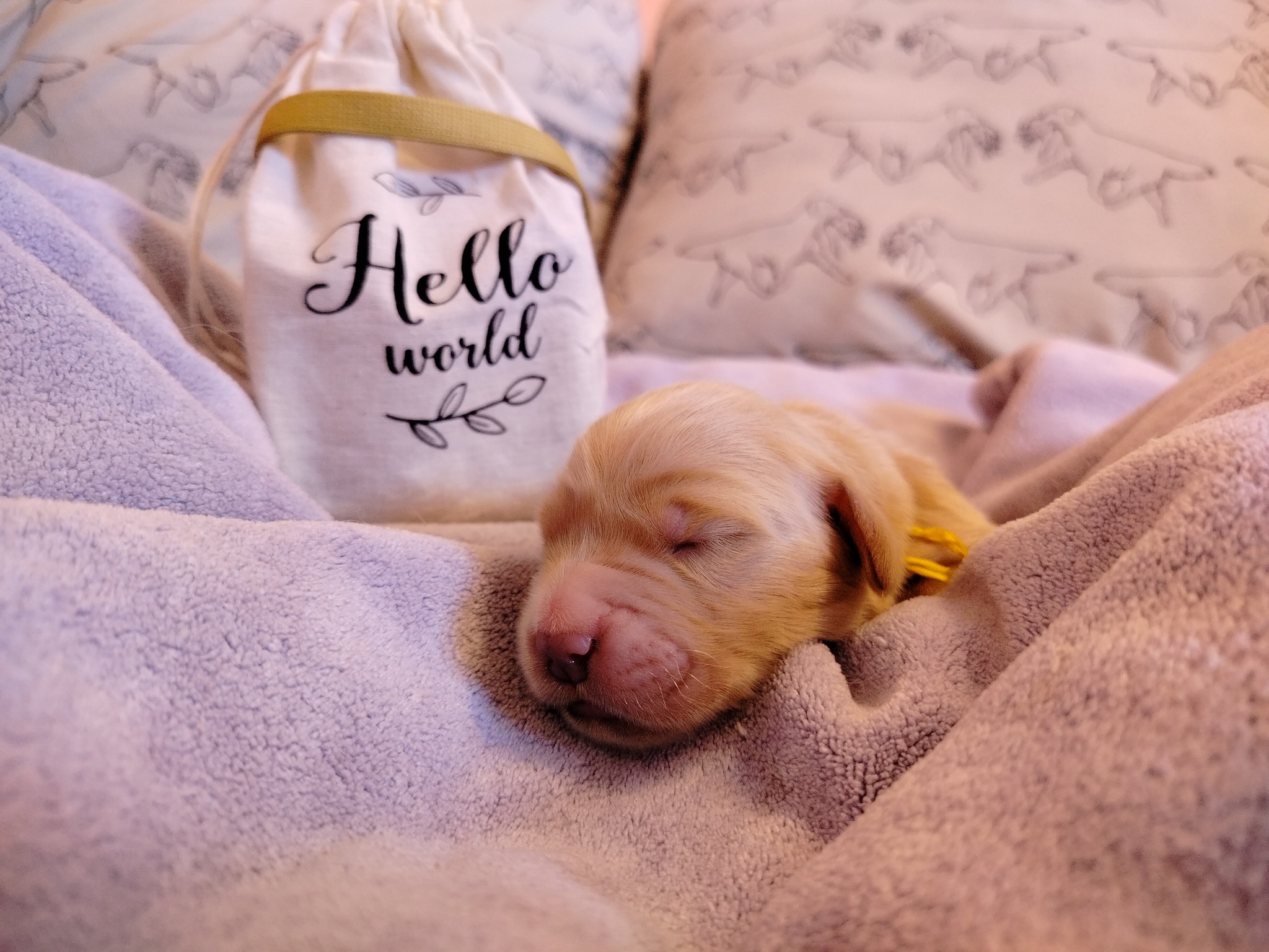 638436794_1345115580981360_3095810042918583525_n