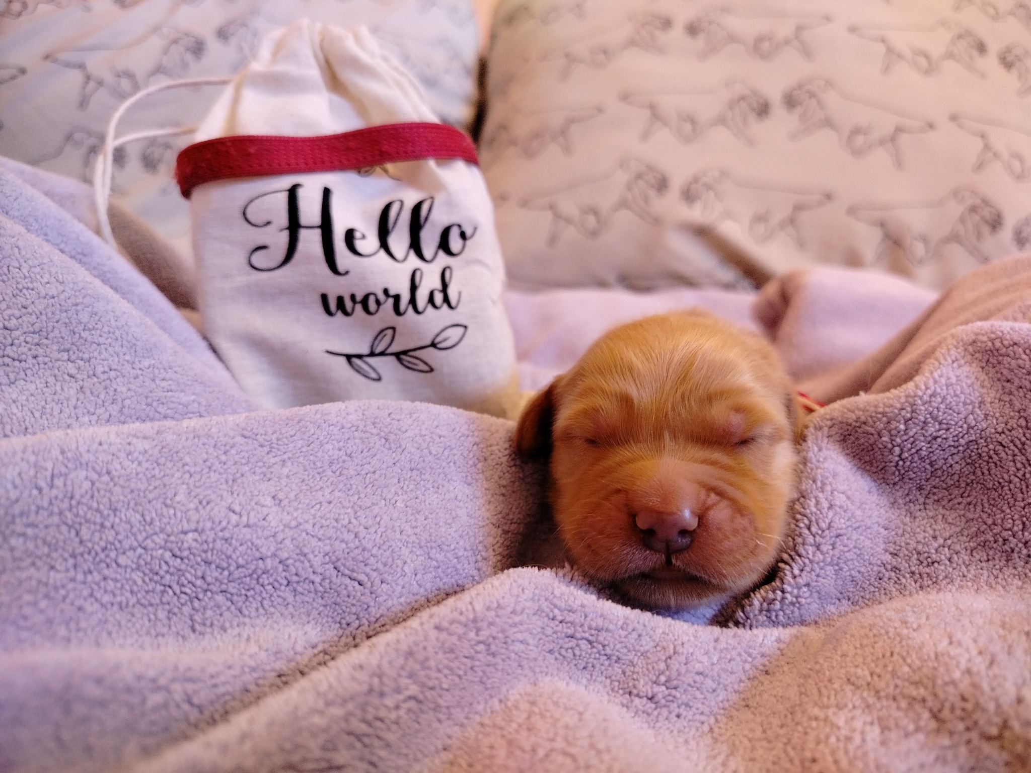 639406157_1345115250981393_856713118999551688_n