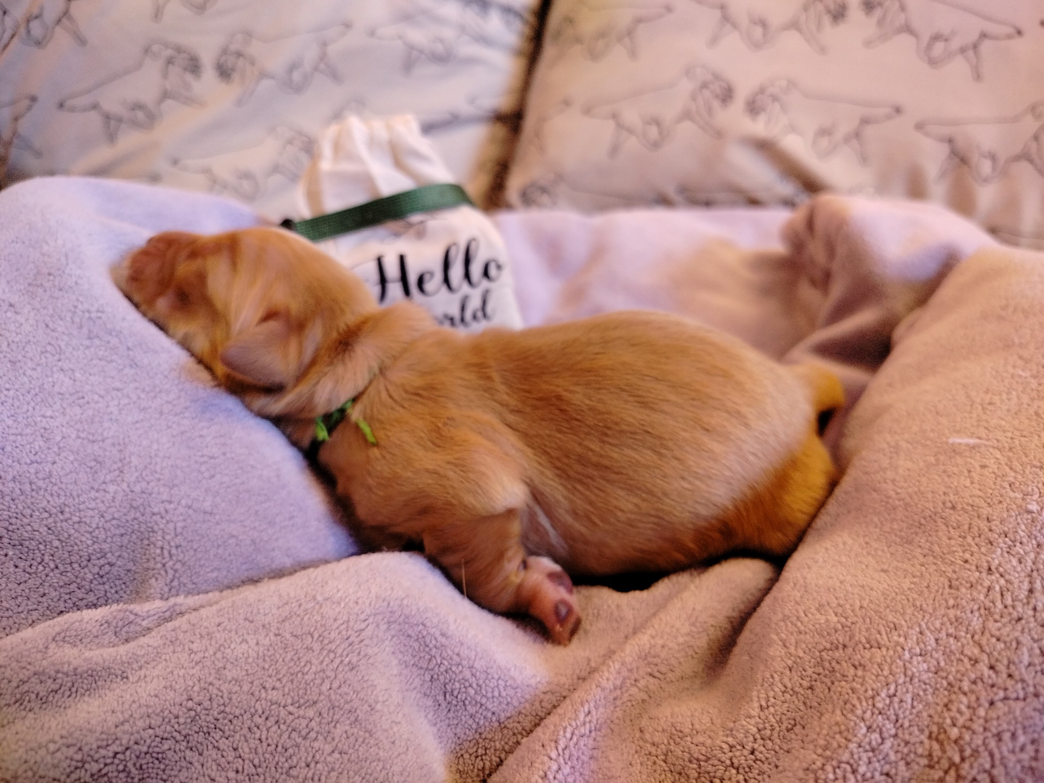 639558786_1345114884314763_2421954388964602585_n