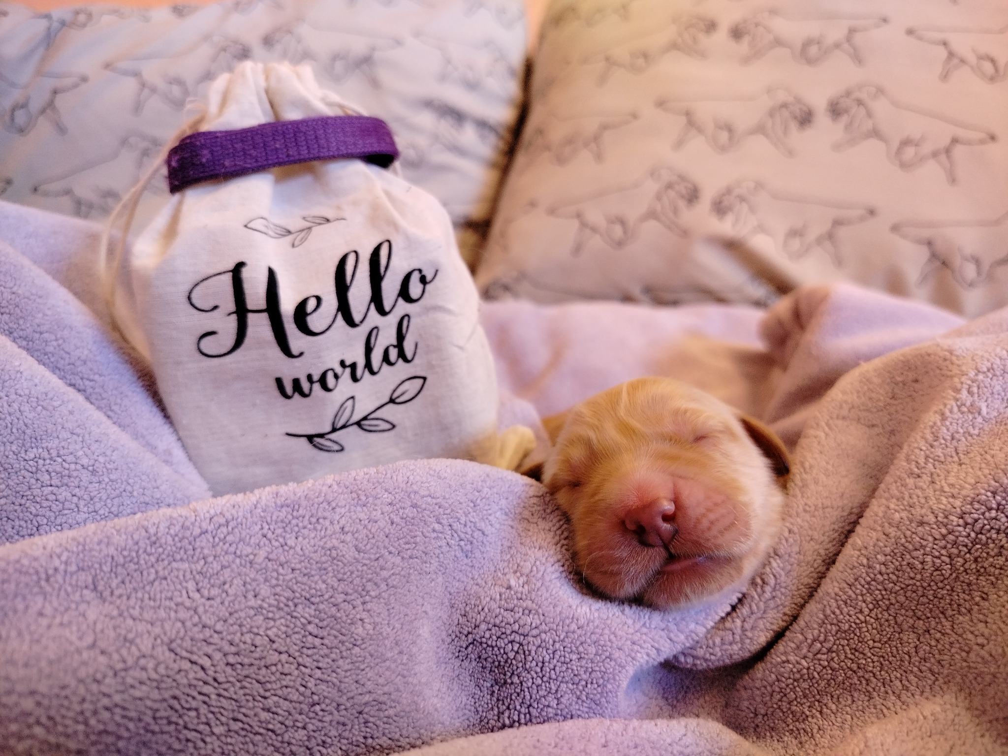 639701511_1345115224314729_4412282800097399420_n