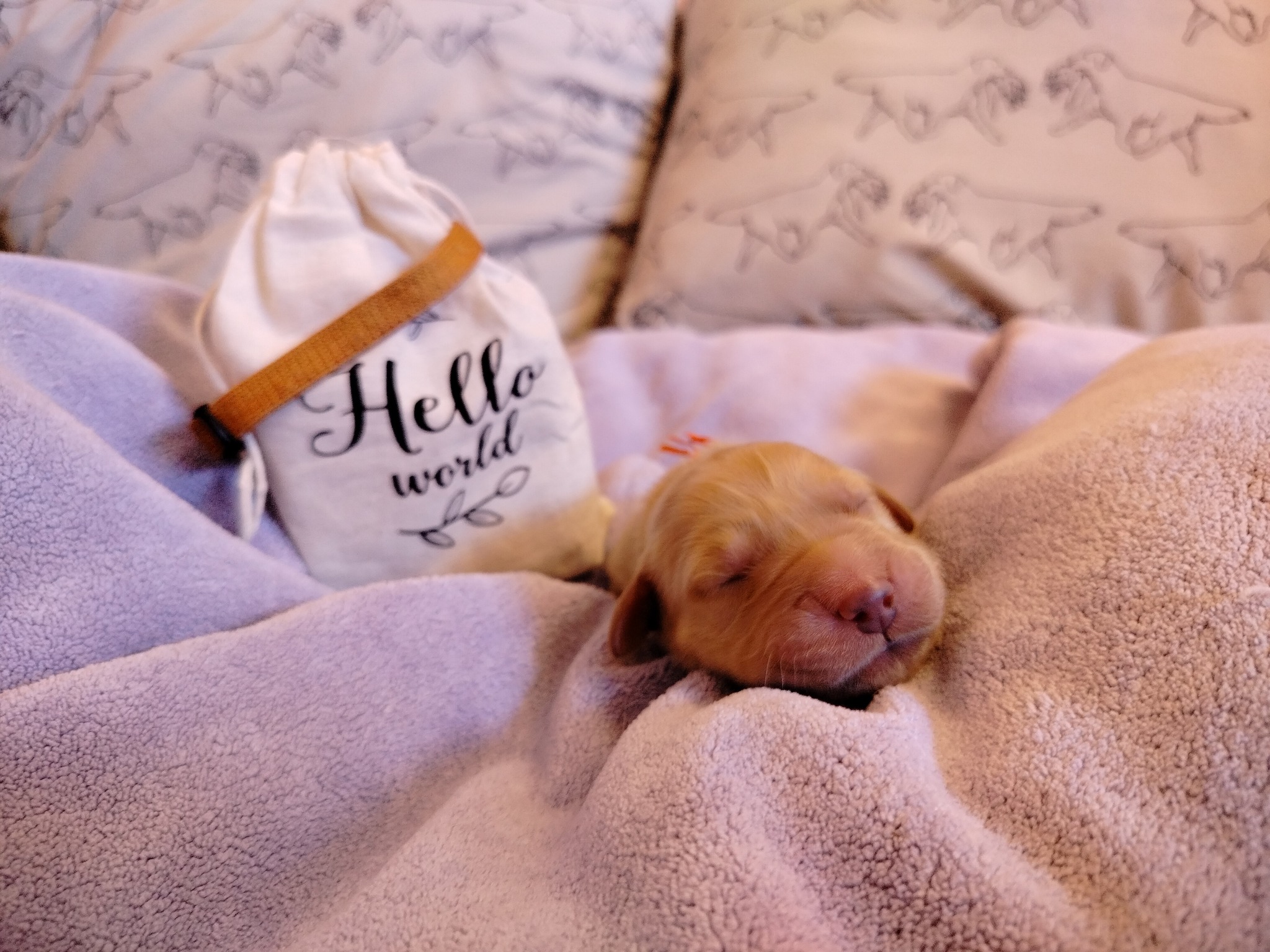 639953017_1345115407648044_5646206450814944600_n