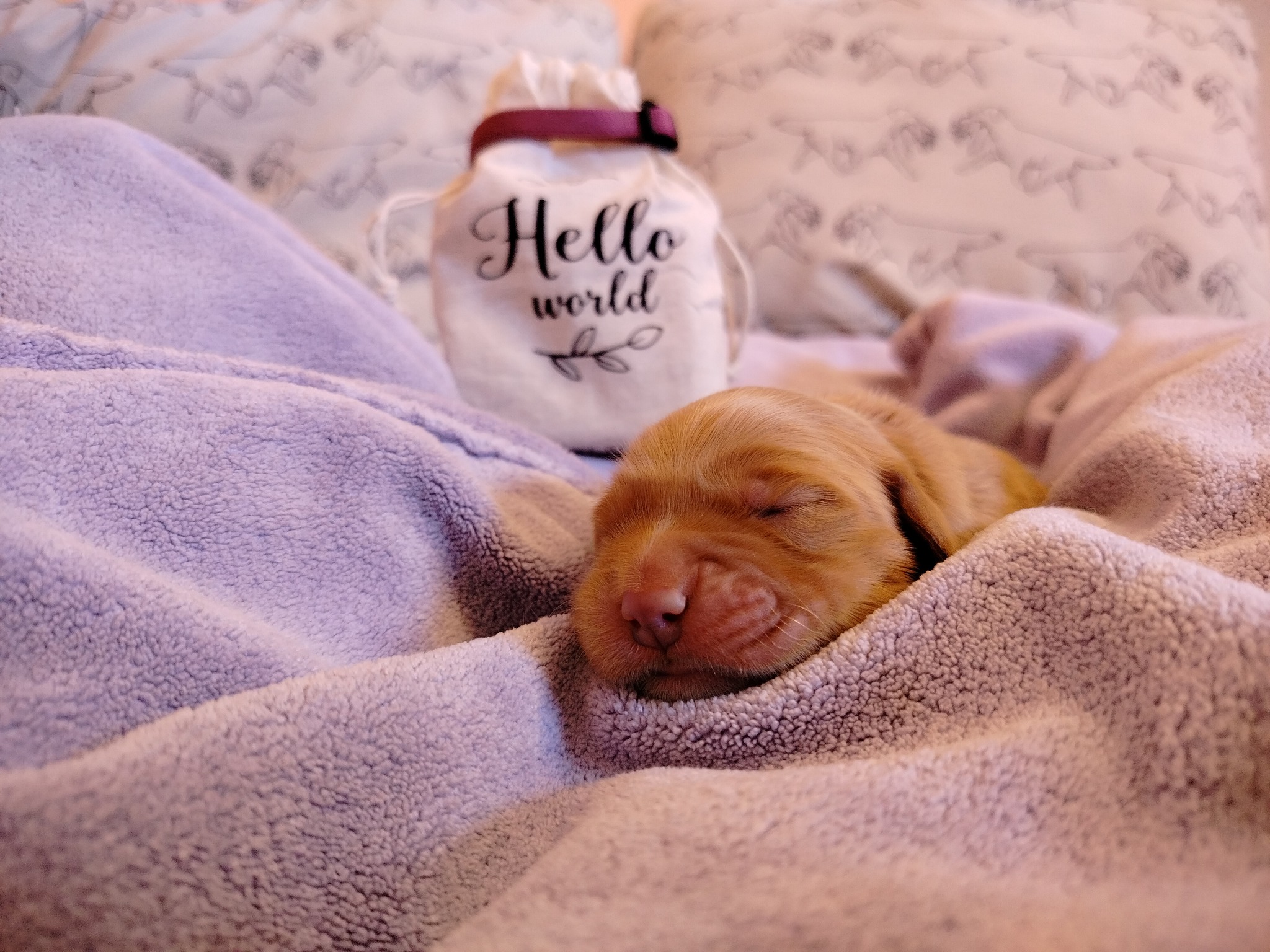 639967481_1345115060981412_38412202599805218_n