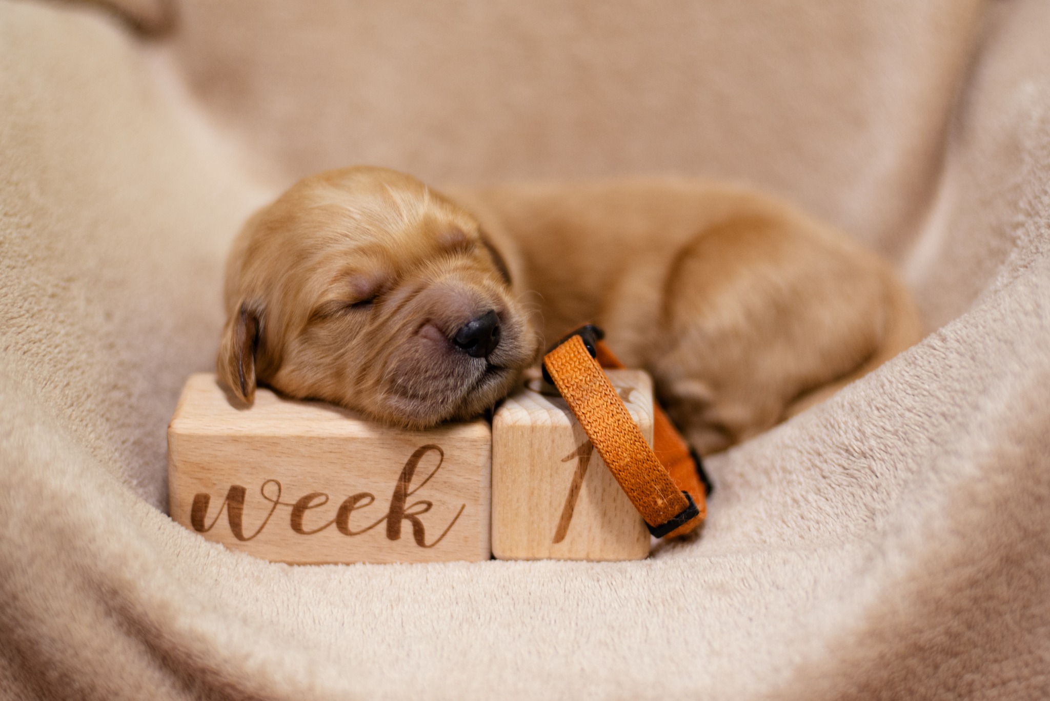 641278011_1350510820441836_4814610180406585289_n